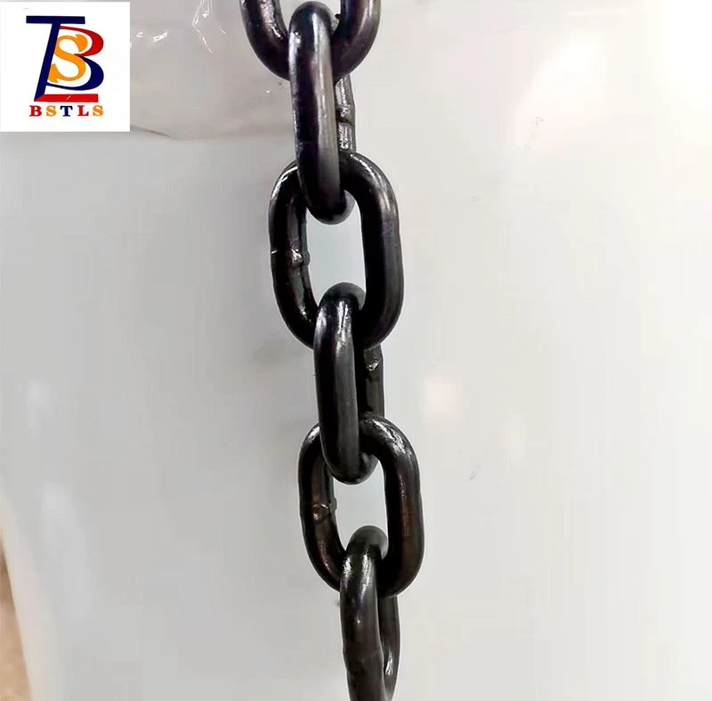 SK818-2 Short Link Chain